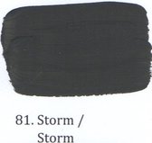 Vloerlak WV 4 ltr 81- Storm