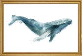 JUNIQE - Poster met houten lijst Bultrugwalvis illustratie -13x18
