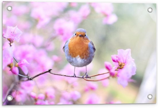 Tuinposter – Vogel op Tak in Bloesemboom - 60x40cm Foto op Tuinposter  (wanddecoratie voor buiten en binnen)