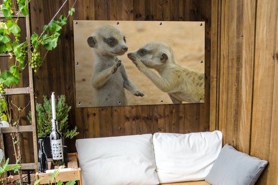 Affiche de jardin de deux suricates en vrac