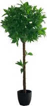 Laurier Kunstboom 100cm | Laurier Kunstplant | Kunstplanten voor Binnen | Laurier Bol Kunstboom