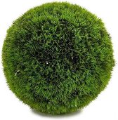Decoratieve plant Groen Plastic (22 x 22 x 22 cm)