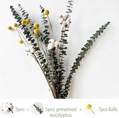 Gedroogd Boeket Takken -  - 3pcs  5pcs  7pcs