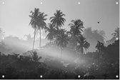 Palmbomen in de jungle - Foto op Tuinposter - 60 x 40 cm