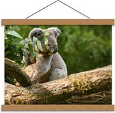 Schoolplaat – Wegkijkende Koala op Boomstam - 40x30cm Foto op Textielposter (Wanddecoratie op Schoolplaat)