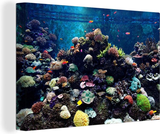 Canvas schilderij 150x100 cm - Wanddecoratie Aquarium met tropische vissen en koralen - Muurdecoratie woonkamer - Slaapkamer decoratie - Kamer accessoires - Schilderijen