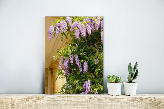 Glycine sur fond jaune 30x40 cm - petit - Tirage photo sur toile (Décoration murale salon / chambre) / Peintures Fleurs sur toile