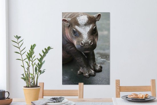 Bébé Hippo 60x90 cm - impression photo sur toile peinture (Décoration murale salon / chambre à coucher) / Les jeunes Animaux toile Peintures