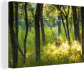Canvas Schilderij Hert in het bos in Illinois - 120x80 cm - Wanddecoratie