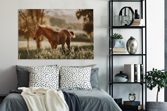 Poulain quarter horse dans les pâturages 120x80 cm - impression photo sur toile peinture (Décoration murale salon / chambre à coucher) / Mammifères toile Peintures