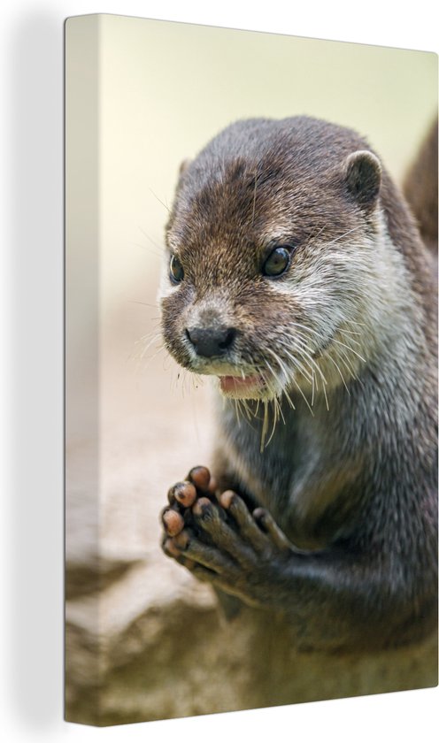 Vivid Arts Loutre d'escalade ludique pour bébé Taille B, loutre bebe