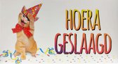 Kaart - Geslaagd - Hoera geslaagd - SGP16-B