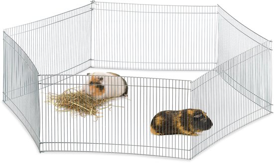 Zilverkleurige ren met twee cavia's en hooi op een witte achtergrond.