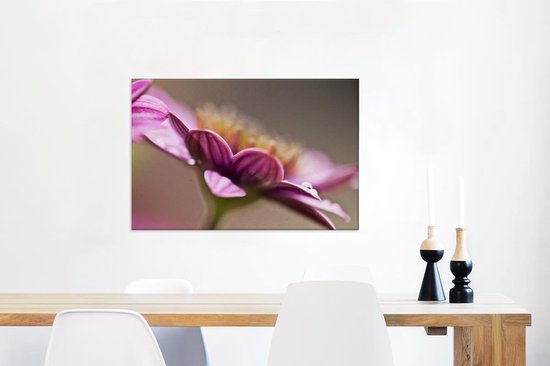 Close-up van een roze bloem van een zinnia Canvas 90x60 cm - Foto print op Canvas schilderij (Wanddecoratie woonkamer / slaapkamer)