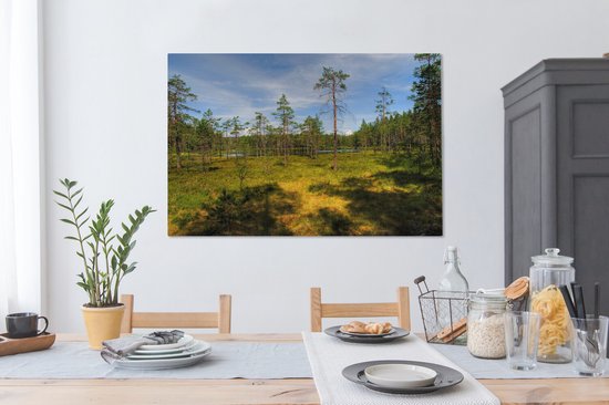 Grands arbres sur la bruyère dans le parc national de Skuleskogen en Suède Toile 120x80 cm - Tirage photo sur toile (Décoration murale salon / chambre)