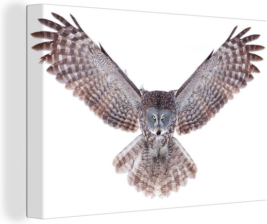 Flying Owl Canvas 60x40 cm - Tirage photo sur toile (Décoration murale salon / chambre) / Peintures sur toile Animaux