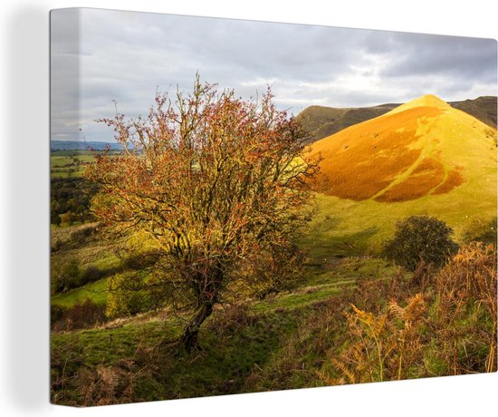 Canvas Schilderij Geel-gekleurde foto van het landschap in het Nationaal park Brecon Beacons - 90x60 cm - Wanddecoratie