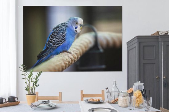 Canvas schilderij 150x100 cm - Wanddecoratie Knalblauwe parkiet op een dik touw - Muurdecoratie woonkamer - Slaapkamer decoratie - Kamer accessoires - Schilderijen