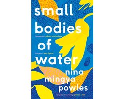 Small Bodies of Water