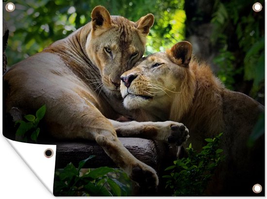 Décoration de Jardin Lions - Arbre - Herbe - 40x30 cm - Toile de jardin