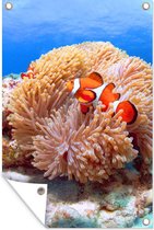 Tuindecoratie Nemo - Oceaan - Oranje - 40x60 cm - Tuinposter - Tuindoek - Buitenposter