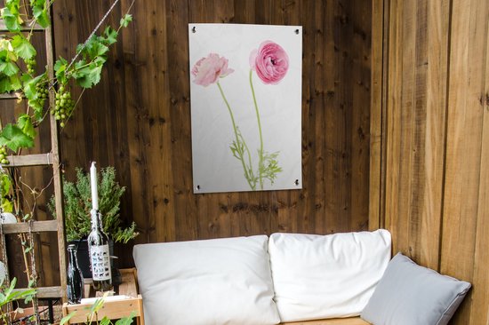 Tuinposter 60x90 cm - Tuindecoratie Roze boterbloemen met een witte achtergrond - Poster voor in de tuin - Buiten decoratie - Schutting tuinschilderij - Tuindoek muurdecoratie - Wanddecoratie balkondoek