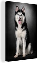 Toile husky sibérien 2cm 20x30 cm - petit - Tirage photo sur toile peinture (Décoration murale salon / chambre) / Animaux domestiques Peintures sur toile