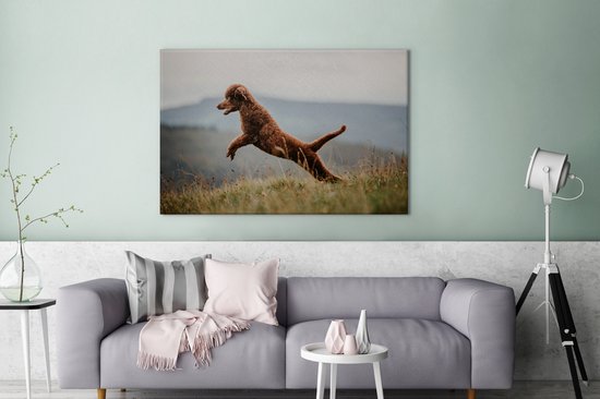 Caniche marron saute dans les airs 120x80 cm - Tirage photo sur toile (Décoration murale salon / chambre) / Peintures sur toile Animaux domestiques