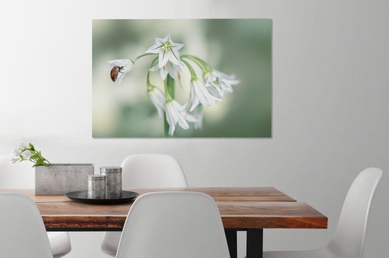 Tableau sur toile Coccinelle en gros plan sur fleur blanche - 90x60 cm - Décoration murale