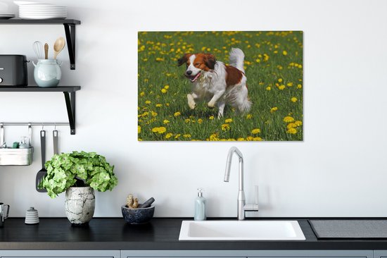 Kooiker traverse une toile d'herbe 2cm 90x60 cm - Tirage photo sur toile (Décoration murale salon / chambre) / Peintures sur toile pour Animaux domestiques