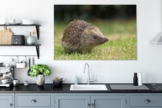 Hérisson dans le jardin toile 2cm 140x90 cm - impression photo sur toile peinture Décoration murale salon / chambre à coucher) / Animaux sauvages Peintures Toile