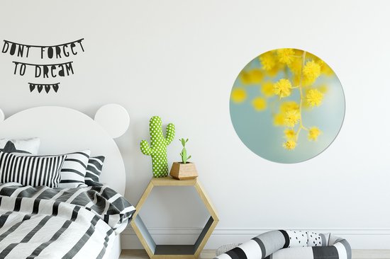 Une plant de mimosa jaune sur fond bleu clair Assiette en plastique cercle mural ⌀ 60 cm - impression photo sur cercle mural / cercle vivant (décoration murale)