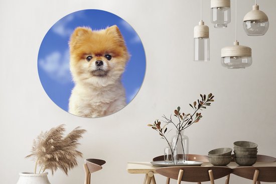 Autocollant de papier peint de cercle de mur de Puppy de près wallpaper 120 cm / cercle de papier peint / cercle de mur / cercle vivant - autocollant et coupe ronde