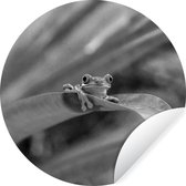 Grenouille macaque aux yeux rouges parmi les feuilles au Costa Rica en noir et blanc Sticker mural cercle mural 50x50 cm / cercle de papier peint / cercle mural / cercle vivant - autocollant et coupe ronde