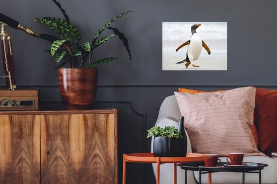 Sticker Muursticker Pingouins - pingouin court sur la plage - 40x30 cm - film adhésif autocollant - sticker mural repositionnable