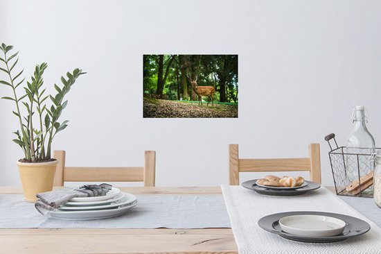 Stickers muraux - Film autocollant - Cerf - Forêt - Animal - 30x20 cm - Film adhésif - Stickers muraux Chambre d'enfant - Papier peint autocollant