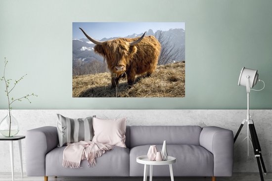 Poster Highlander écossais avec fourrure laineuse papier 180x120 cm - Tirage photo sur Poster (décoration murale salon / chambre) / Poster Animaux sauvages XXL / Groot format!