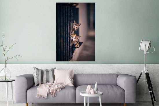 Les Chats regardent curieusement au coin de la rue 120x180 cm XXL / Groot format ! - Tirage photo sur Poster (décoration murale salon / chambre)