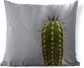 Buitenkussens - Tuin - Cactus botanische print - 40x40 cm