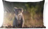 Buitenkussens - Tuin - Een koala bij zonsondergang - 50x30 cm