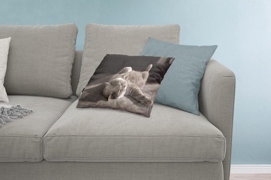 Sierkussen' intérieur Animal Day - Chat sur une chaise grise - 60x40 cm - Coussin intérieur rectangulaire en coton