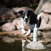 Honden Droogshampoo - Spray & Go - Greenfields - 250 ml