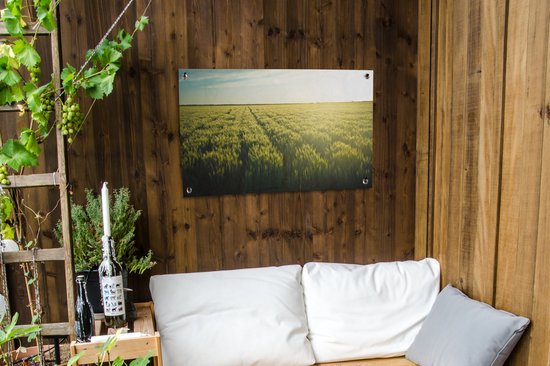 Tuinposter 90x60 cm - Tuindecoratie Landbouw in de vroege ochtend - Poster voor in de tuin - Buiten decoratie - Schutting tuinschilderij - Tuindoek muurdecoratie - Wanddecoratie balkondoek
