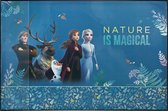 Frozen Disney Fancy Schrijfwaren Set 5 delig
