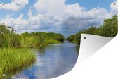 Tuinposter - Tuindoek - Tuinposters buiten - Landschap in Everglades - 120x80 cm - Tuin
