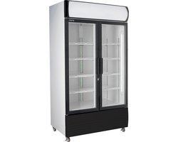 SARO Flessenkoeler met dubbele glasdeur Model GTK 580