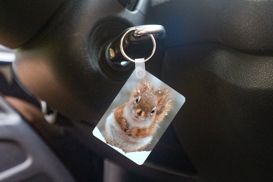 Porte-clés Écureuils en hiver - Un gros plan d'un écureuil en hiver Porte-clés en plastique - Porte-clés rectangulaire avec photo