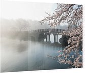 Mistige brug met kersenbloesem - Foto op Plexiglas - 90 x 60 cm