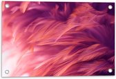Tuinposter – Roze Vogelveren - 60x40cm Foto op Tuinposter  (wanddecoratie voor buiten en binnen)