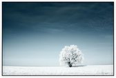 Boom in het sneeuwlandschap - Foto op Akoestisch paneel - 120 x 80 cm